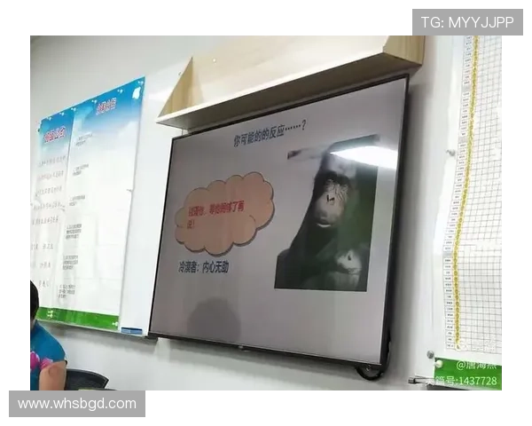 杭州篮球队心理素质分析与提升策略探讨