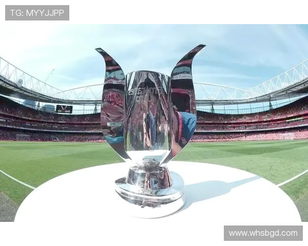 全奖杯的足球明星背后的奋斗故事与荣耀时刻